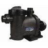 Pompe Astral Glass Plus 2 CV / 26 M³/h Tri - Astral Pool