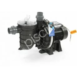 Pompe La Sta-Rite 0,75 CV / 12 M³/h Mono - Pentair -Pompe et filtre de piscine Soldes 29476701 3