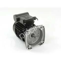 Moteur Pour Pompes La Sta-Rite 1 CV Mono - Pentair -Pompe et filtre de piscine Soldes 29547828 4