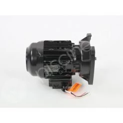 Moteur Pour Pompes La Sta-Rite 0,75 CV Tri - Pentair -Pompe et filtre de piscine Soldes 31487515 3