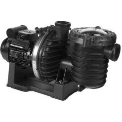 Pompe Piscine - Sta-Rite SW-5P6R - 1 CV - Tri - Eau De Mer De Sta-Rite