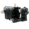 Pompe Piscine - Sta-Rite 5P6R - 0.75 CV - Tri - Eau Douce De Pentair