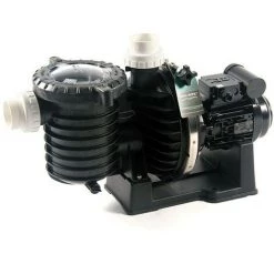 Pompe Piscine - Sta-Rite 5P6R - 0.75 CV - Tri - Eau Douce De Pentair