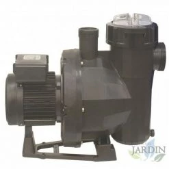 SUINGA Pompe De Piscine Auto-amorçante, Modèle Au Choix - 2