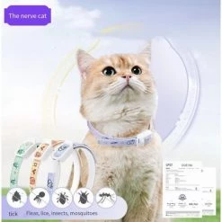 ELLE Collier Vermifuge Pour Chat Collier Anti-puces Pour Chien De Compagnie S (36CM) Lapin Violet 5 ELLE Collier Vermifuge Pour Chat Collier Anti-puces Pour Chien De Compagnie S (36CM) Lapin Violet -Pompe et filtre de piscine Soldes 54891689 2