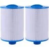 MOWZE Cartouche De Filtre De Spa 2 Pièces, Pour Filtre À Remous Pleatco Pww50 ， Filtre De Spa Pour Filtre De Remplacement Unicel 6ch-940 Spa Business Whirlpool