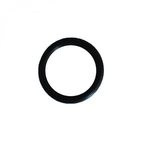 Joint Torique De Purgeur Pour Filtre à Sable Side - Noir - SX0200Z5 - Hayward - Noir 1 Joint Torique De Purgeur Pour Filtre à Sable Side - Noir - SX0200Z5 - Hayward - Noir