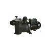 Pompe De Piscine Optima 1 CV Triphasée Saci Pumps