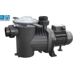 Pompe De Piscine Winner 1 CV Triphasée Saci Pumps